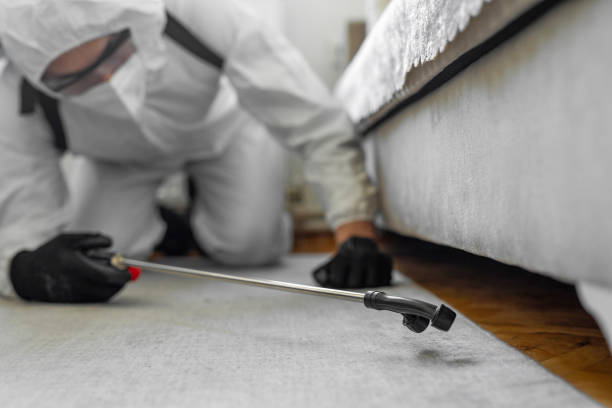 Professional Pest Control technician working in Ranlo, NC