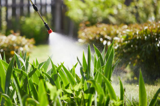 24/7 Emergency Pest Control experts in Ranlo, NC
